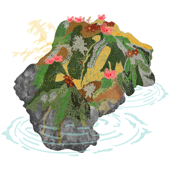 Illustrated mountain / sacred landscape artwork